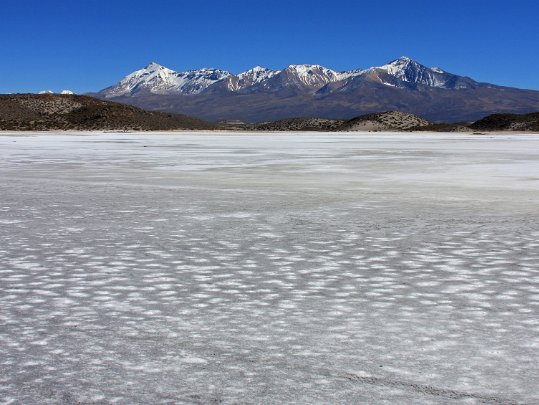 Salar de Coipasa Bolivie